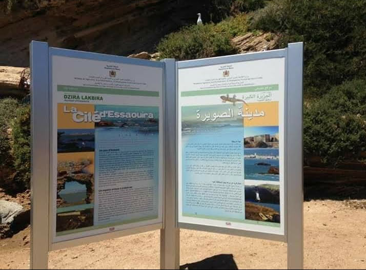 Activation spéciale oiseaux migrateurs